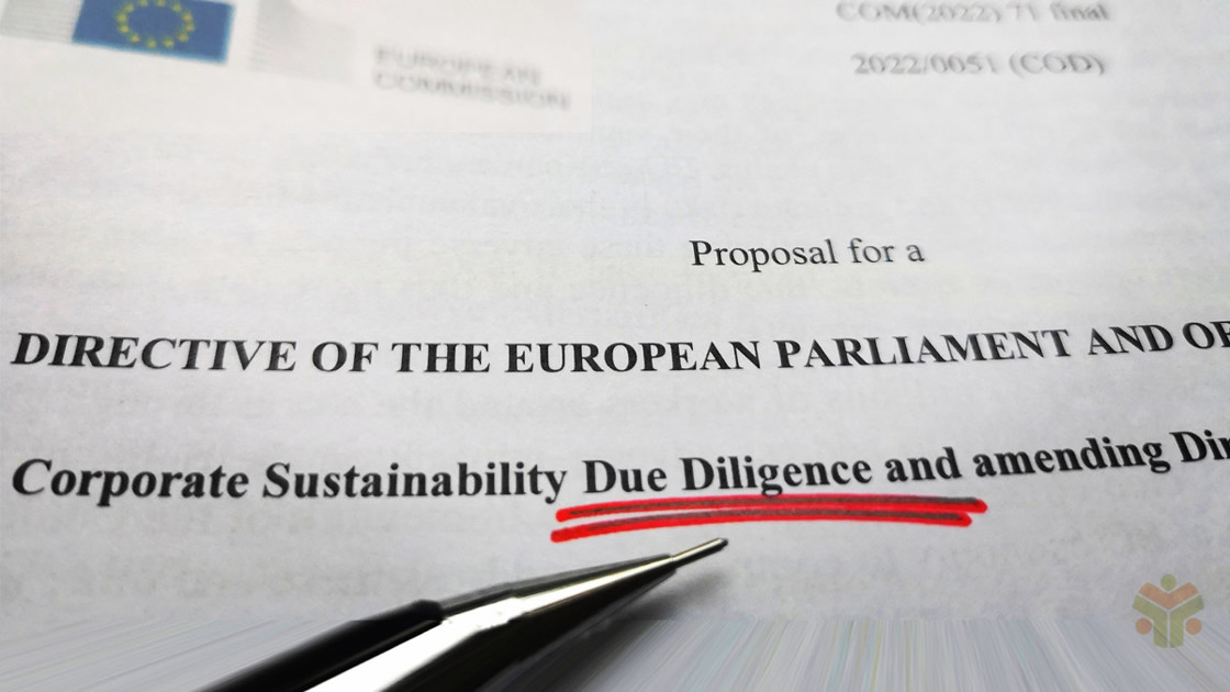 EU Corporate Sustainability Due Diligence Directive
