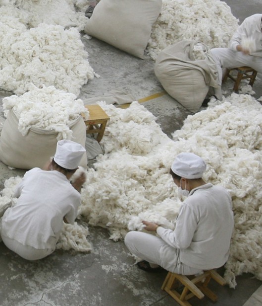Uighur cotton