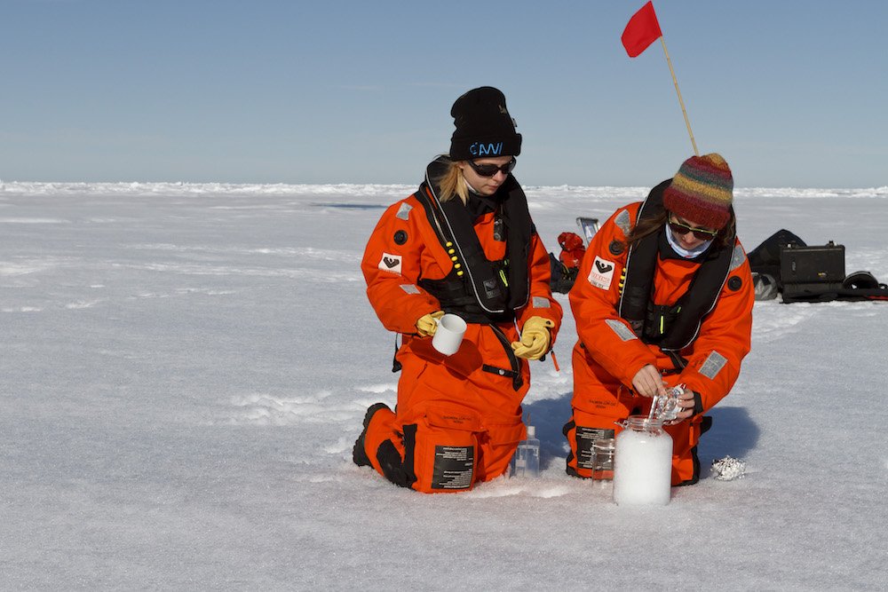 Microplastic collection scientsit